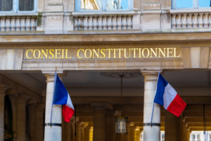 Page07-haut-Conseil Constitutionnel.PNG